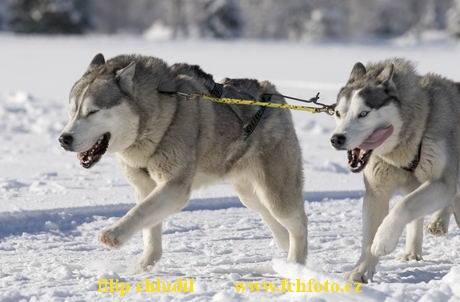 Decinsky sneznik 05 - 363.jpg